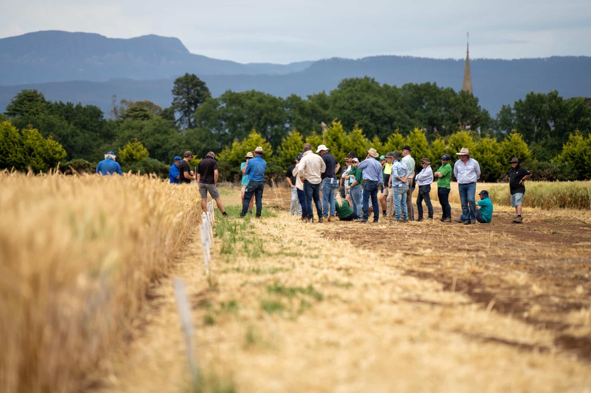 agricultores