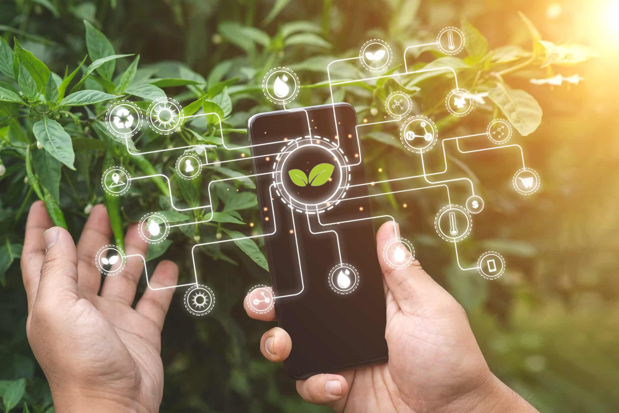 digitalización campo